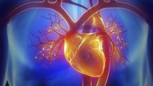 心肌桥患者还能踢足球吗？一文带你深入了解相关情况