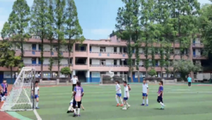 夏天看足球能否带扇子?带你了解观赛清凉小秘诀