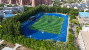 辽阳有免费足球场吗？快来一探究竟！