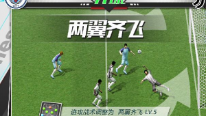 黄金足球有什么用处吗