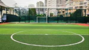 运动公园足球场免费吗?真相究竟如何,快来一探究竟!