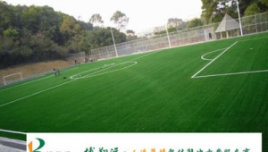 吴中足球场今天收费吗