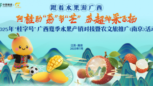 中国足球五佳乌龙究竟是哪五个