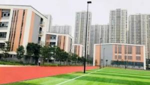 盘点哪所大学设有标准足球场地，满足学子运动热情
