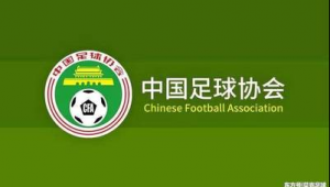 中国注册足球要求高吗?深度剖析其背后的标准与考量