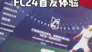 fc24是足球经理吗