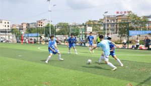 足球场是否对社会公开：真相究竟如何？