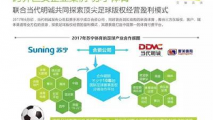 足球能通过概率盈利吗？探寻其中真相与奥秘