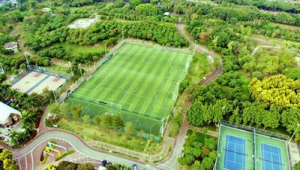 宝安足球公园免费开放吗？一文带你了解真实情况