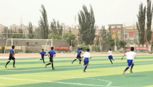 学校要求孩子买足球是否违法?法律边界需厘清