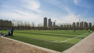 沈阳足球公园今天让露营吗