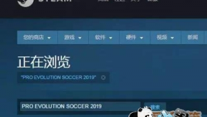 足球场上是否存在有语音相伴的别样画面?