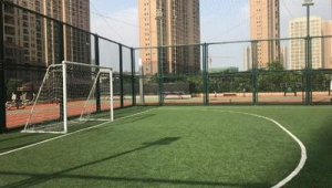 小区内建收费足球场是否合法,引发居民关注与热议