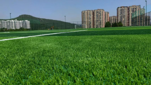 奥体足球场可以进吗？揭秘其开放规则与进入条件