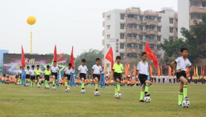 佛山哪所小学足球实力强?探寻足球厉害的小学
