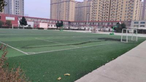 学校足球场能否租？一文带你了解相关情况