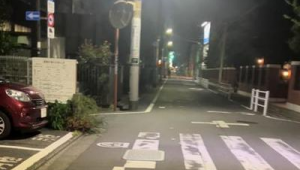 足球观众大喊“退钱”是否违法？法律边界与球迷权益探讨