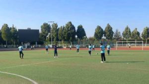 职业球员足球气打得足吗？背后的真相与思考