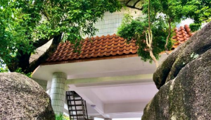 少林足球与香山公园哪有关联 这背后故事你知道吗