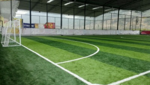 足球俱乐部都有自己的球场吗？揭开球场拥有情况的神秘面纱