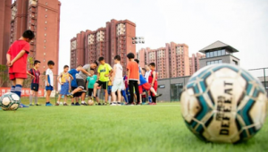 传统足球在哪买好点？探寻优质购买渠道与选择要点