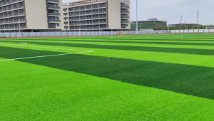 足球草皮每次使用后都需要更换吗？真相大揭秘