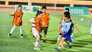 足球人讨厌飞盘玩家吗？探究球员对飞盘现象的真实态度