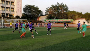 南充有草坪足球场吗