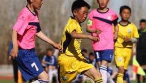 蒙古足球联赛是否存在假球现象引关注