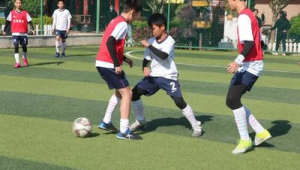 足球训练基地免费开放吗？背后真相与大众期待引关注