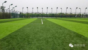 郑州东区足球场免费开放吗？一文带你了解真实情况