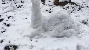 冬天足球场能踢球吗？场地状况、保暖防护与踢球体验全解析