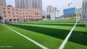 哪里租足球场更便宜？探寻性价比高的足球场租赁好去处