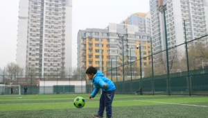 海淀公园足球场免费吗