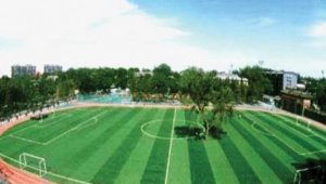 育才中学是否拥有足球场?这一疑问引发关注