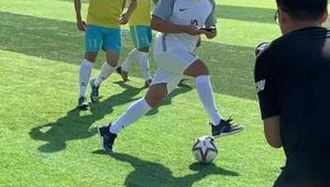 退役后足球运动员的训练去向:揭秘他们的新训练天地