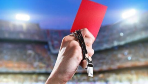 足球裁判能否给观众红牌?这一争议引发的思考
