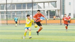 江门足球场收费情况如何？是否贵得让人却步？