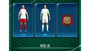 实况足球中哪支球队的球衣与巴西队的相似