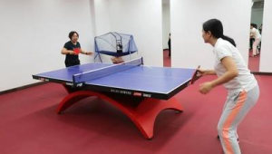 乒乓球能取代足球吗？探究两种球类运动的差异与不可替代性