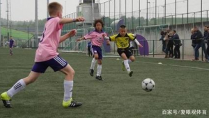 欧洲学足球费用高吗？深度剖析欧洲足球学习成本