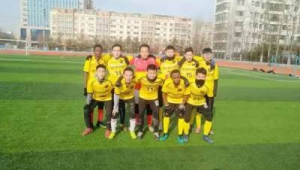 潍坊职业足球队队员都有谁