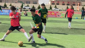 足球能否成为体验民族精神的窗口？探寻其背后的深刻关联