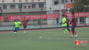 足球裁判视角：守方在何种情况下可以抢球探讨