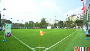 国内有免费足球场吗?探寻免费足球场的存在与分布情况