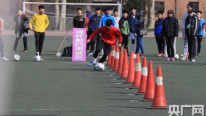 哪些大学招收足球特长生