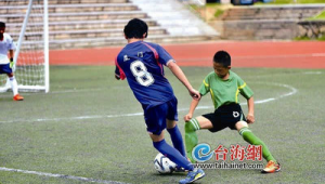 省队足球球员要求高吗？深度剖析省队足球球员选拔与成长标准