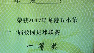 如今足球健将证书好拿吗？探究背后难度与挑战