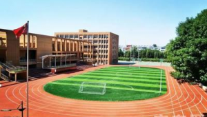 太原周末足球场开放情况如何？一文带你了解详情