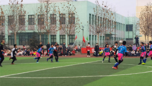 秦皇岛买足球好去处,哪里能买到心仪的足球?